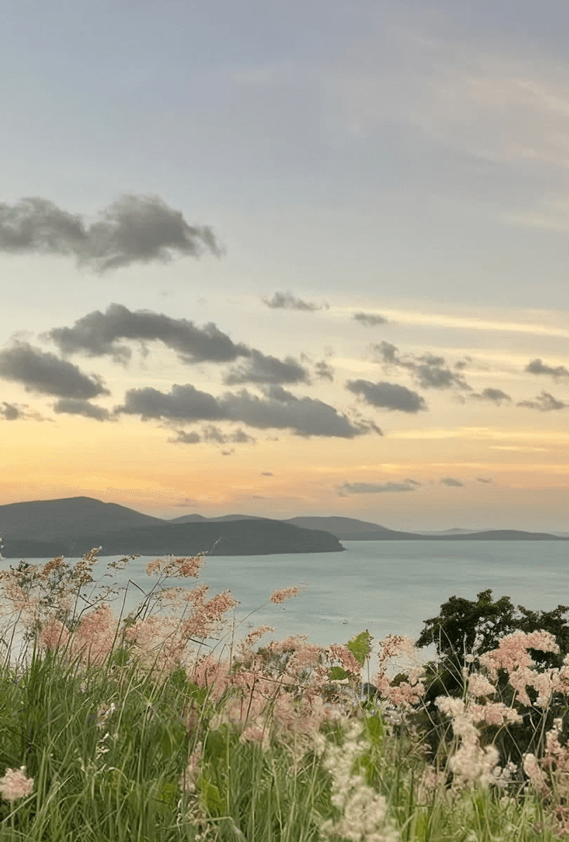 Let the horizon widen