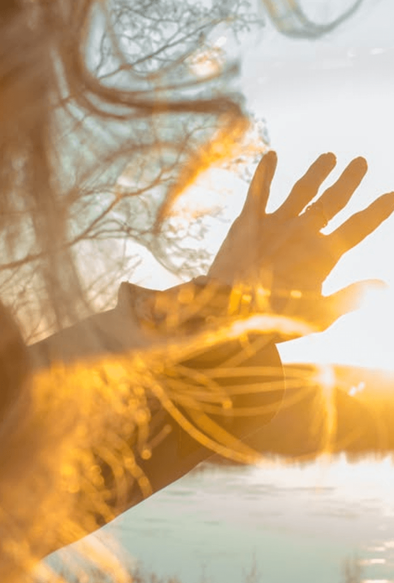 Openness and connection