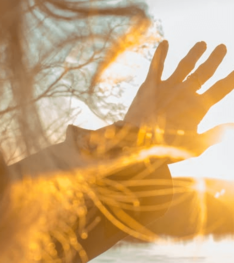 Openness and connection