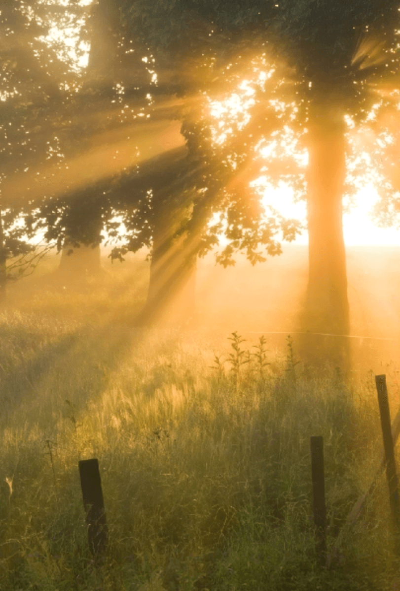 Break through mental rigidity